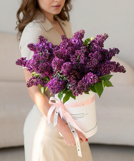 Коробка сирени "Перпл" White Mini